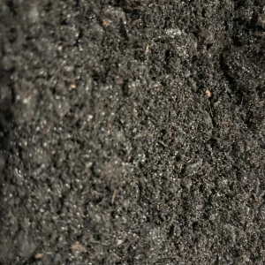 Paludarium Soil Plus