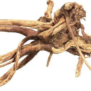 BioArt Spiderwood 10-15 cm