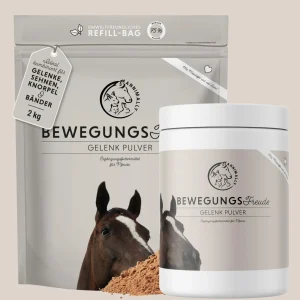 vreugde van beweging