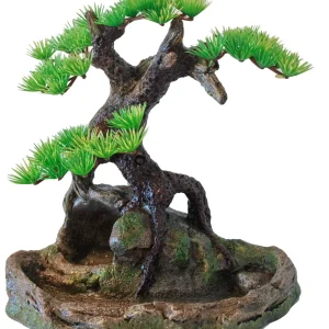 Boon Aqua Deco Bonsai Boom op Rots