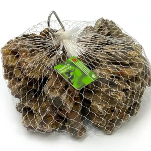 Boon Aqua Deco Dragon Stone