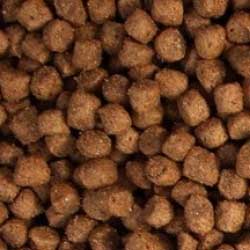 Enjoy puppy brokken 1,5 kg