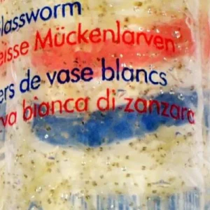 Witte Muggenlarven 100 ml