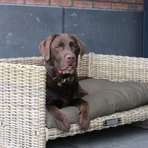 Happy House Rotan Hondensofa Knock Down