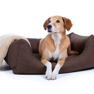 Hondenmand Soft Dream Deluxe Bruin