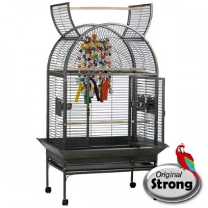 Papegaaienkooi Isa Grijs